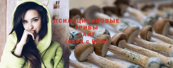 spice Алексеевка