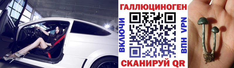 ОМГ ОМГ ТОР  Арск  Галлюциногенные грибы Psilocybine cubensis 